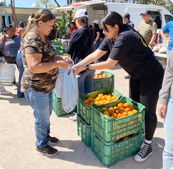 imagen alimentos